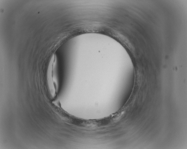 X0000064730113200603131303