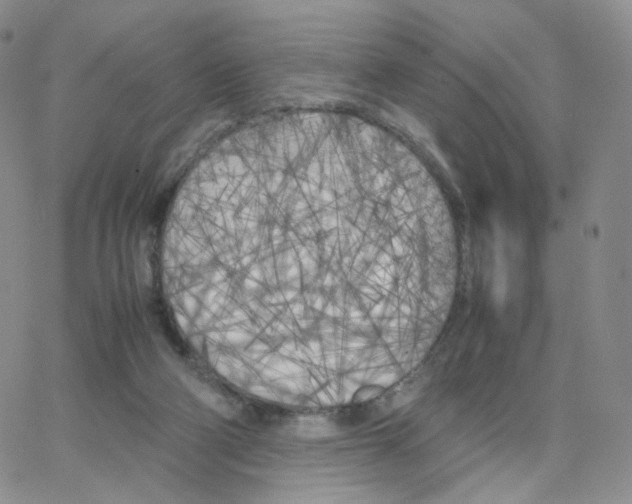 X0000064730114200603131303