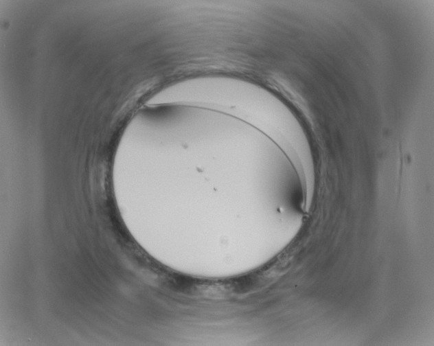 X0000064730115200603131303