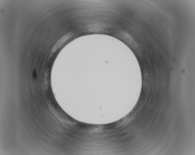 X0000064730116200603131303