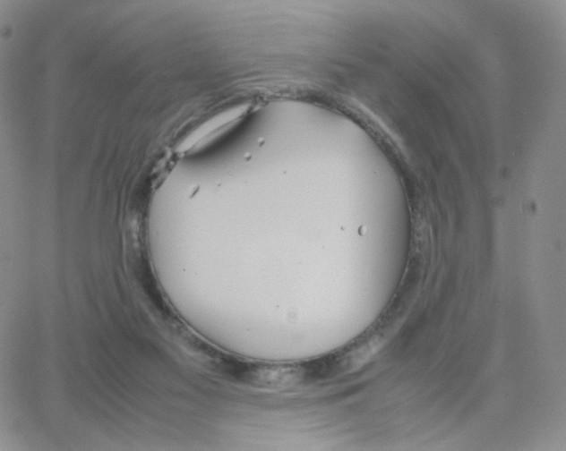 X0000064730117200603131303