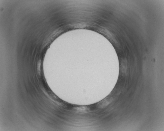 X0000064730118200603131303