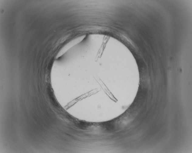 X0000064730119200603131303