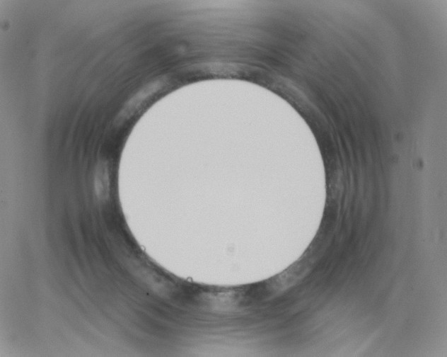 X0000064730120200603131303