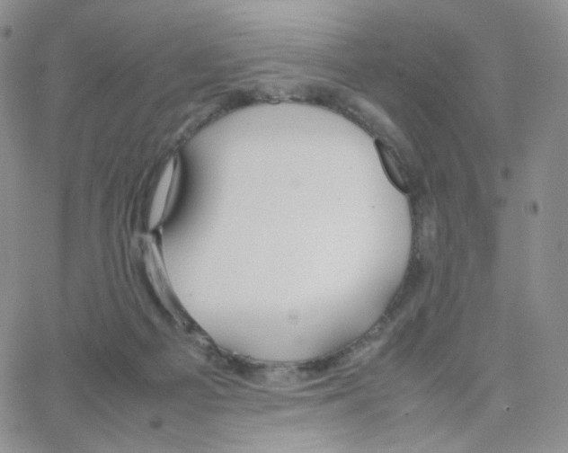 X0000064730121200603131303