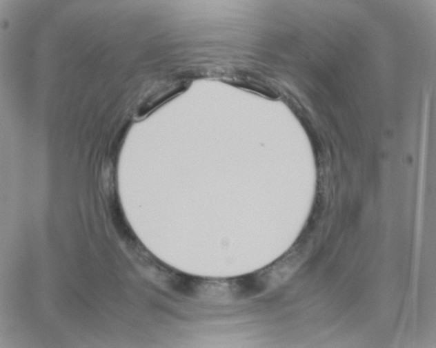 X0000064730123200603131303