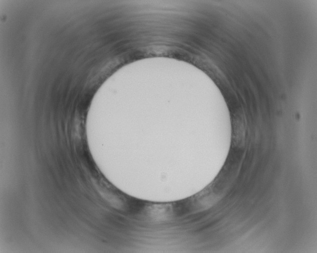 X0000064730126200603131303