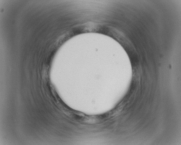 X0000064730127200603131303