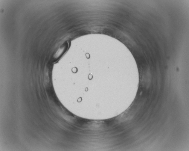 X0000064730128200603131303