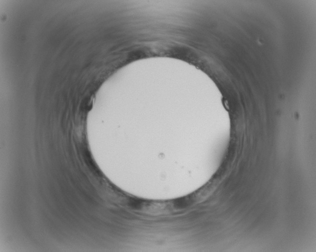 X0000064730129200603131303