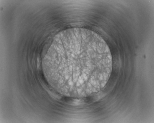 X0000064730130200603131303