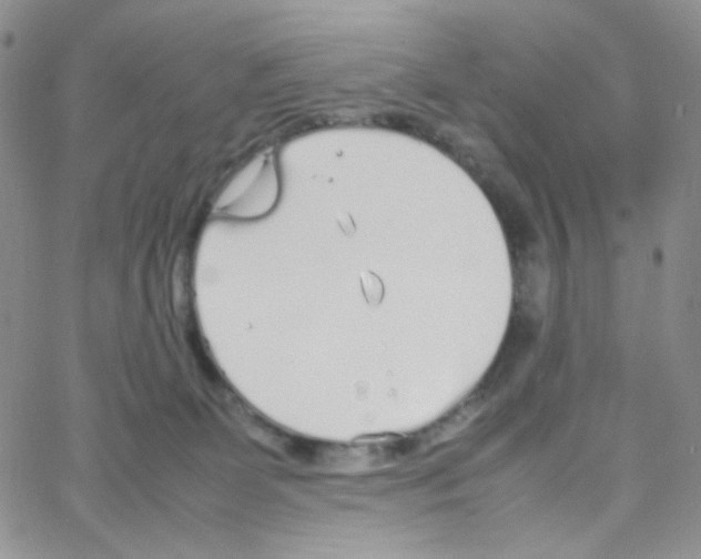 X0000064730131200603131303