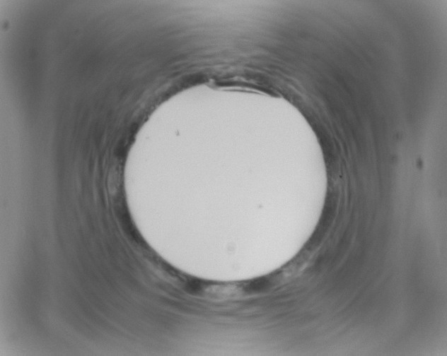 X0000064730133200603131303