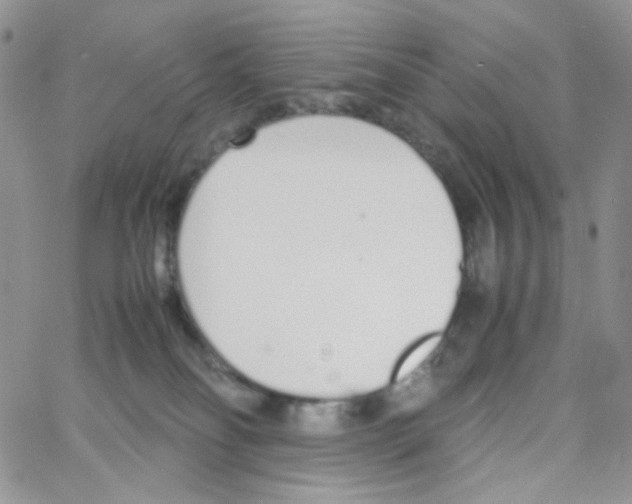 X0000064730134200603131303