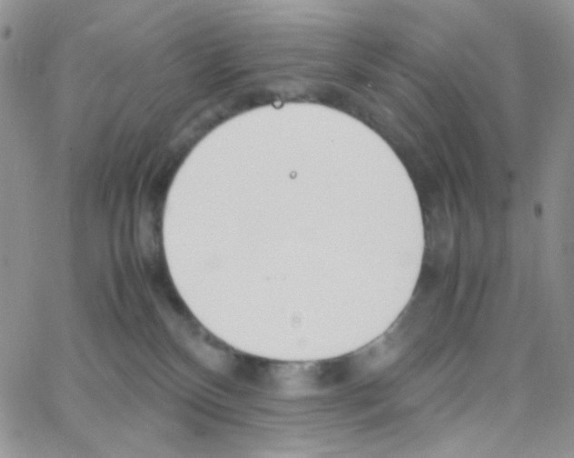 X0000064730136200603131303