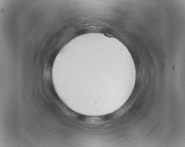 X0000064730137200603131303