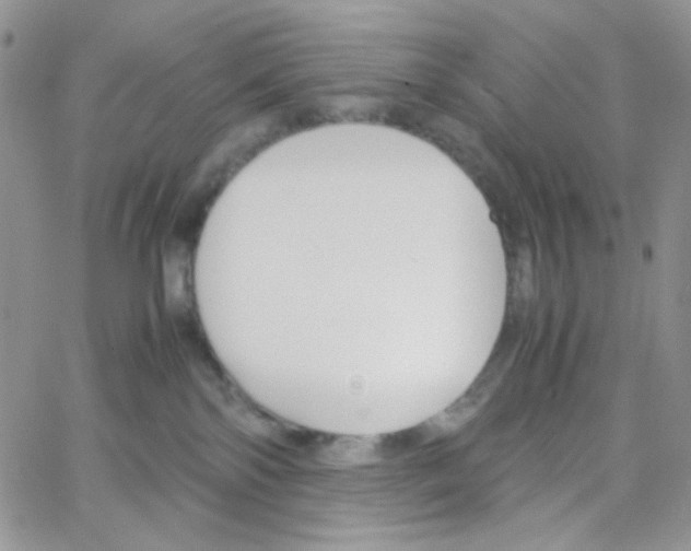 X0000064730138200603131303