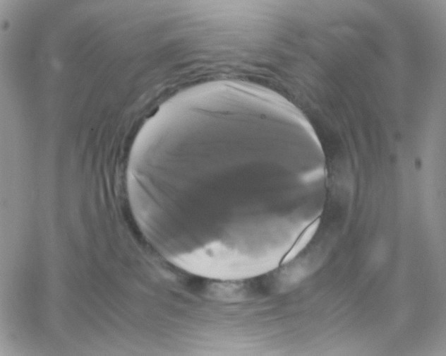 X0000064730139200603131303