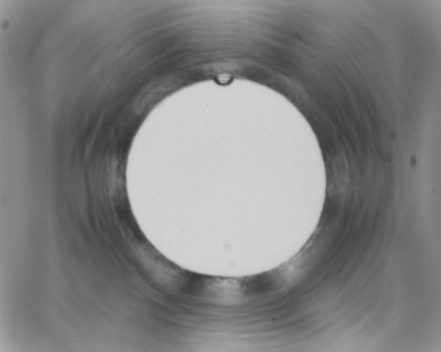 X0000064730140200603131303