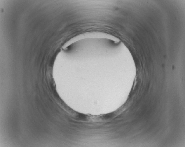 X0000064730141200603131302