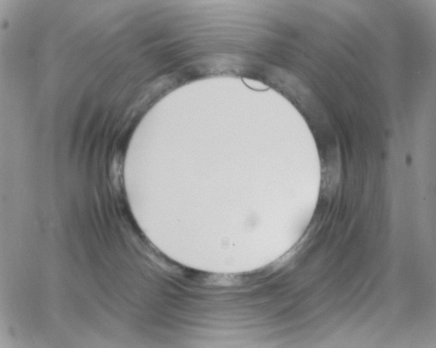 X0000064730142200603131302