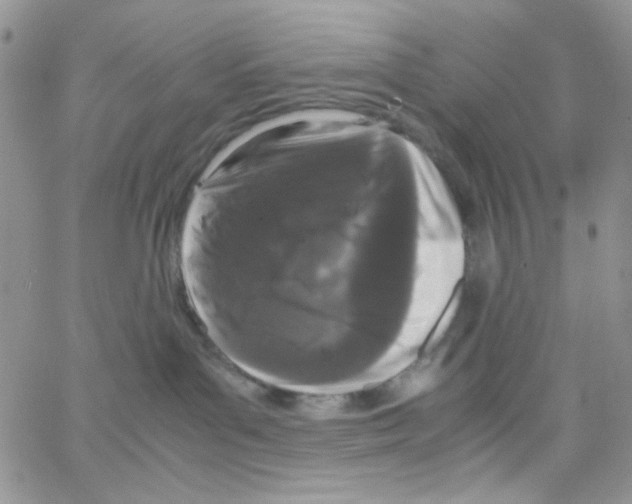 X0000064730143200603131302