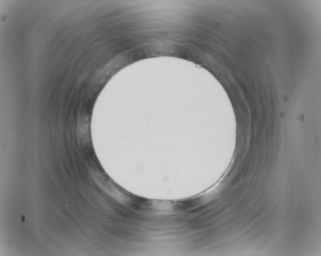 X0000064730144200603131302