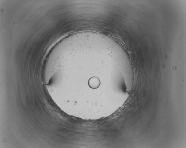 X0000064730146200603131302