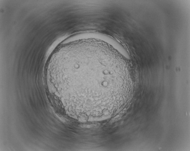 X0000064730147200603131302