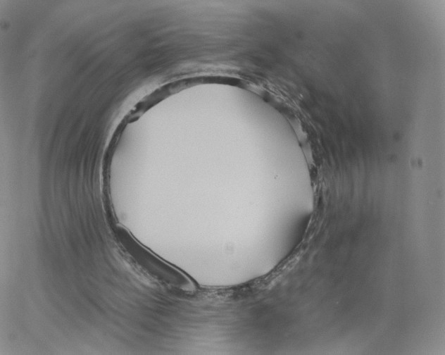 X0000064730148200603131302