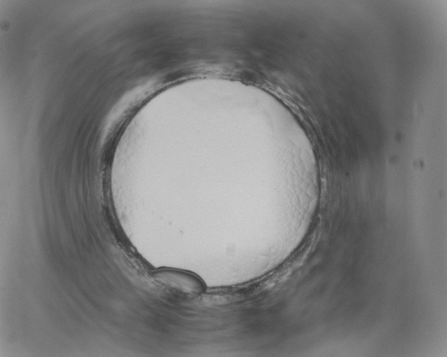 X0000064730149200603131302