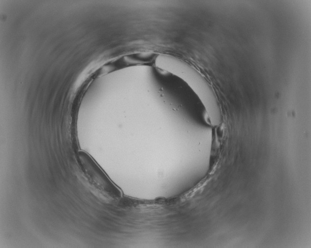 X0000064730150200603131302