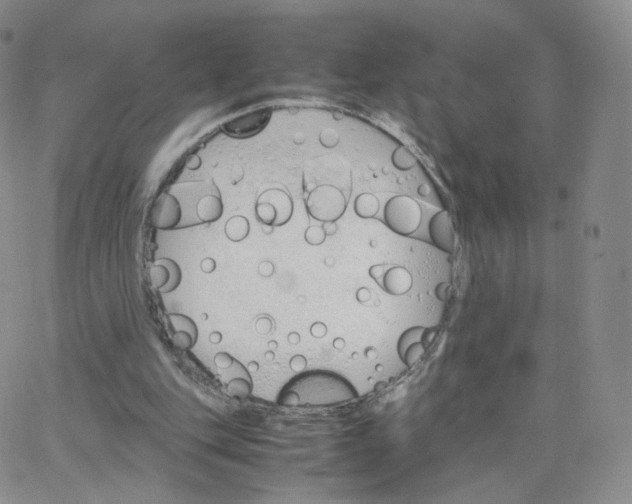 X0000064730151200603131302