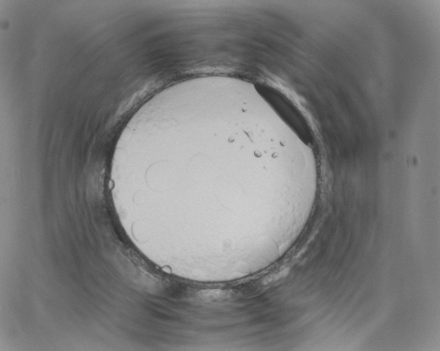 X0000064730153200603131302