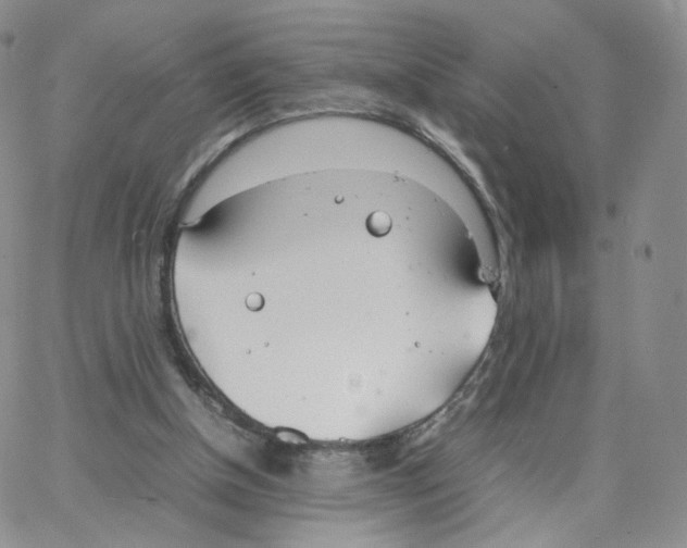 X0000064730154200603131302