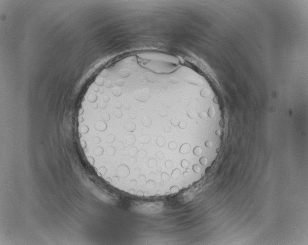 X0000064730155200603131302