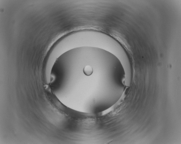 X0000064730156200603131302