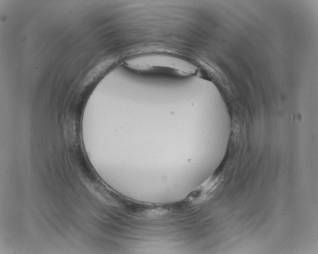 X0000064730158200603131302