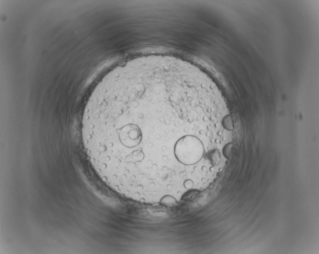 X0000064730159200603131302