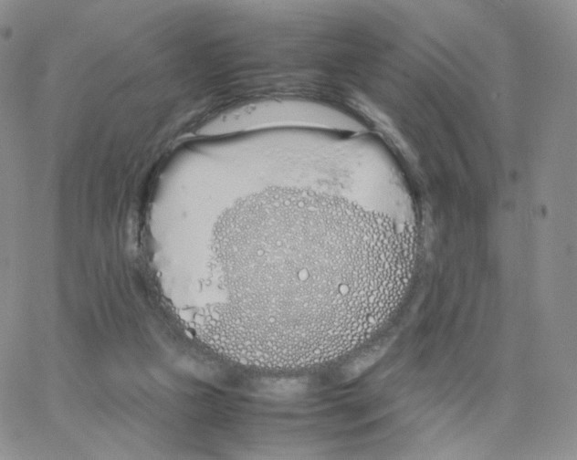 X0000064730161200603131302