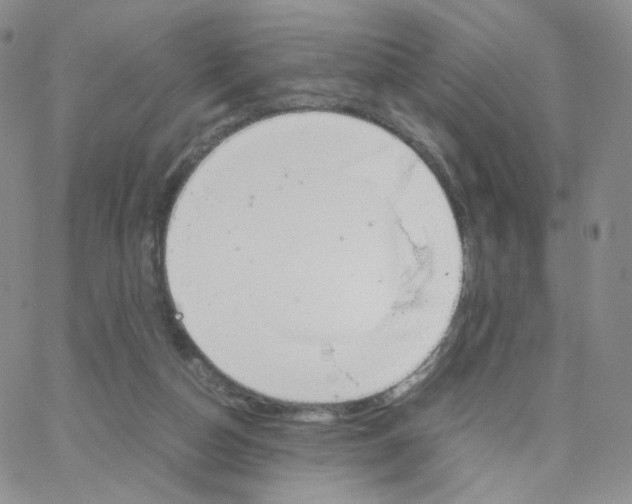 X0000064730162200603131302