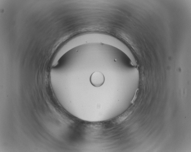 X0000064730164200603131302