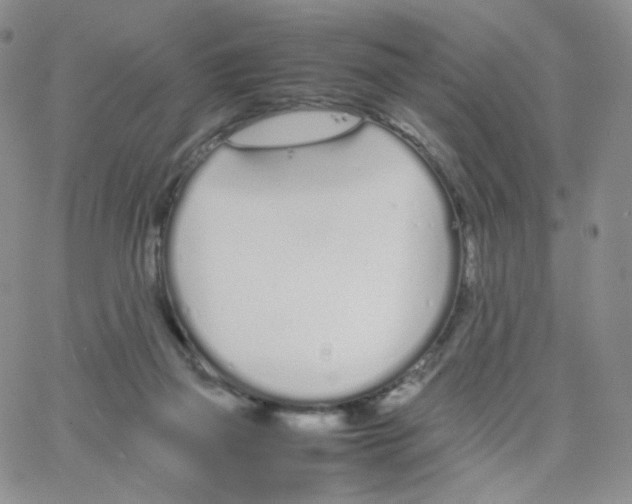 X0000064730165200603131302