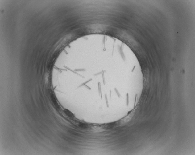 X0000064730166200603131302