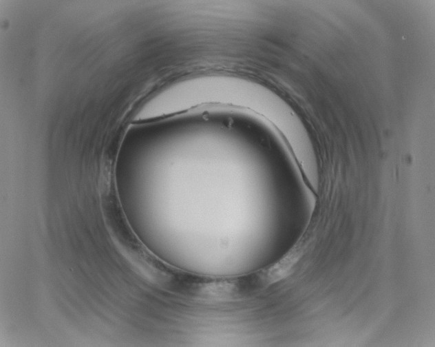 X0000064730168200603131302