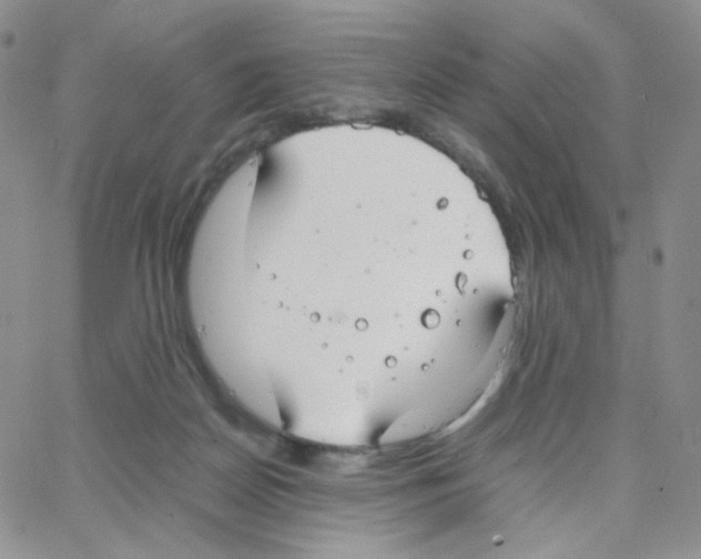 X0000064730170200603131302