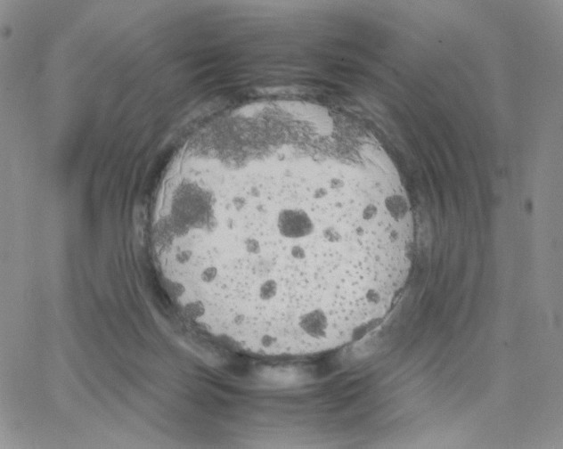 X0000064730171200603131302