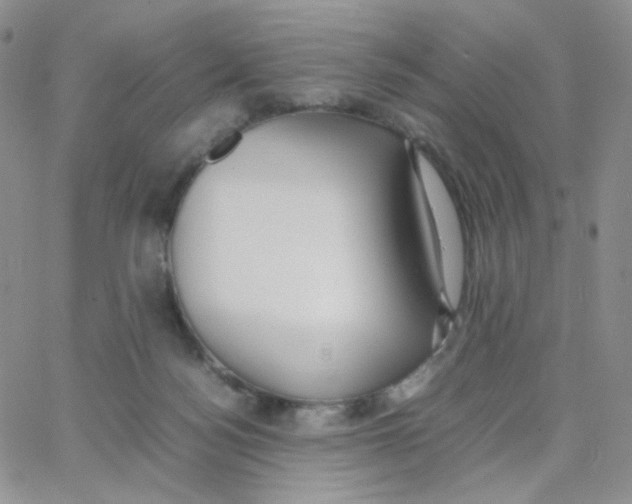 X0000064730172200603131302