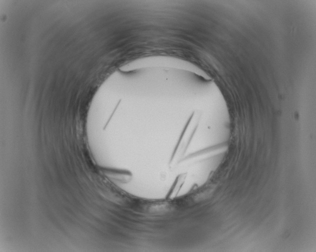 X0000064730173200603131302