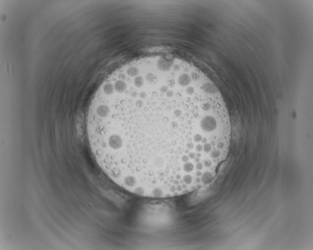 X0000064730175200603131302